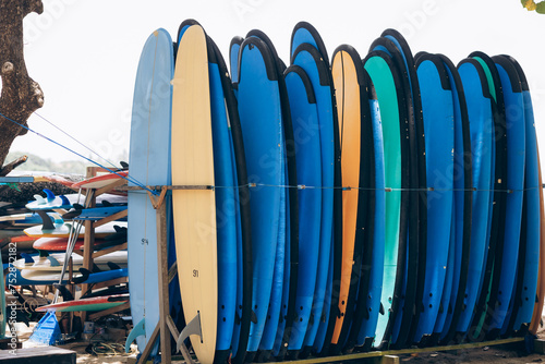 surfboards stand in a row, summer, ocean and surfing
