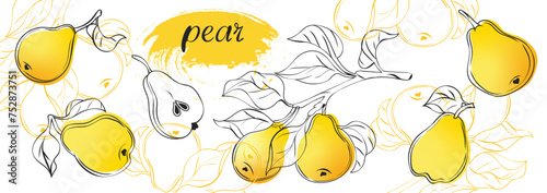 Isolated cut pear fruits. Collection of yellow pear pieces of different shapes isolated on white background