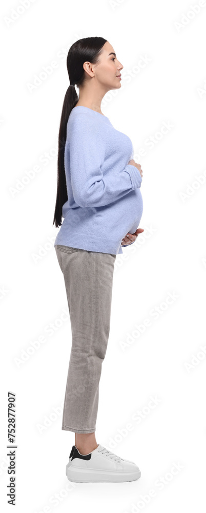 Beautiful pregnant young woman isolated on white Beautiful pregnant young woman isolated on white