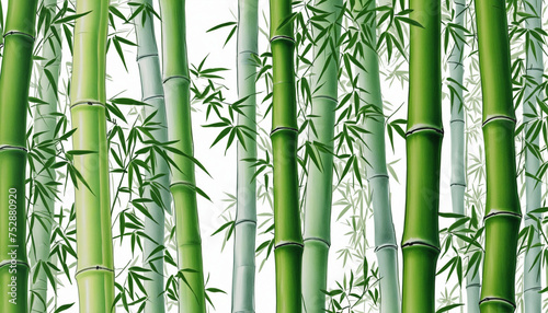 bamboo art, oriental style green
