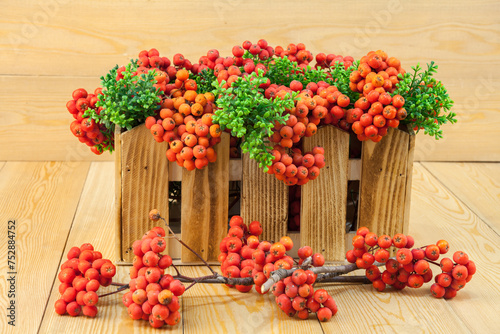 Red rowan berries on a rowan tree. with green leaves. They are in a wooden basket. A rowan tree on a branch. Ashberry. non-GMO. low-growing woody plants of the apple family (Rosales).Still-life 