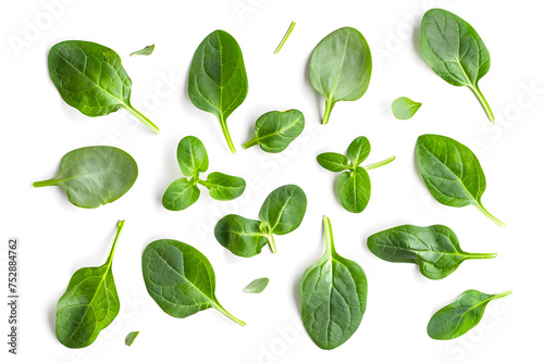 Fresh spinach leaves isolated on white background. Top view