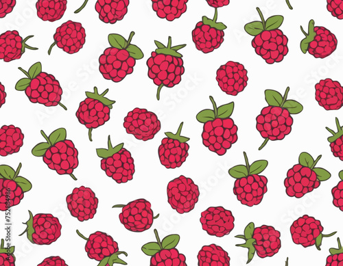 Red raspberry Fruit isolated on white