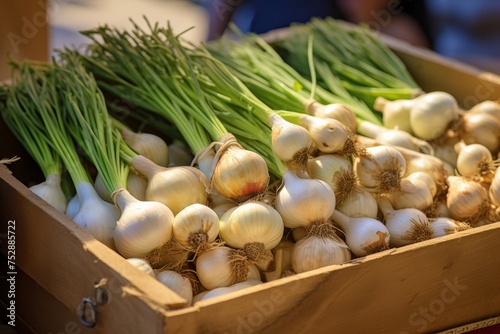 
Photography of Sweet Garleek bulbs displayed in a farmer's market stall, a flavorful blend of garlic and leek, enticing customers with their fresh aroma and vibrant colors photo