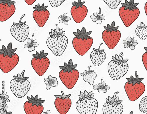 Strawberry pencil drawing