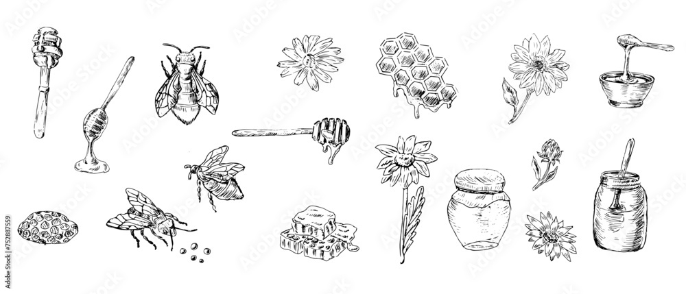 Big outline set of honey design elements bee and jar