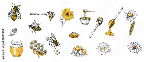 Honey set of sketch bee, spoon, jar, honeycomb with yellow colors © Жумагуль Бисекеева