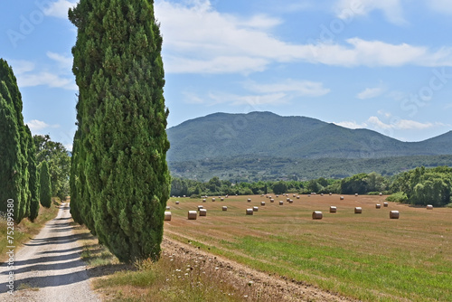 Strada fra i cipressi e balle di fieno nella campagna di Soriano nel Cimino, Viterbo, Tuscia - Lazio