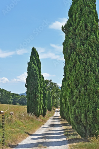 Strada fra i cipressi e balle di fieno nella campagna di Soriano nel Cimino, Viterbo, Tuscia - Lazio photo