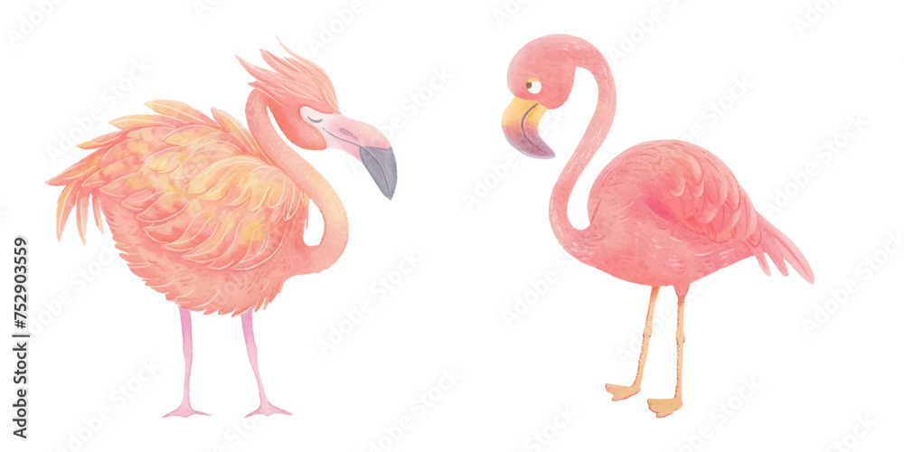 Fototapeta premium cute flamingo watercolour vector illustration