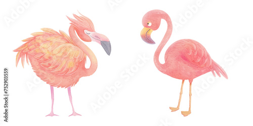 cute flamingo watercolour vector illustration © Finkha