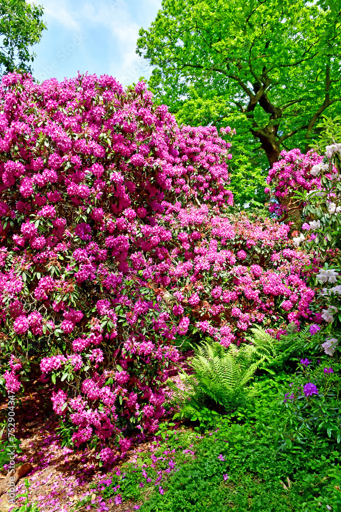 London; Richmond, England - may 28 2023 : Kew Gardens