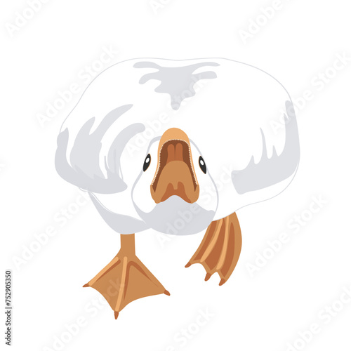 Big angry goose that is running and going to bite probably. Goose male bird attacking and defending the flock. Vector illustration isolated on white