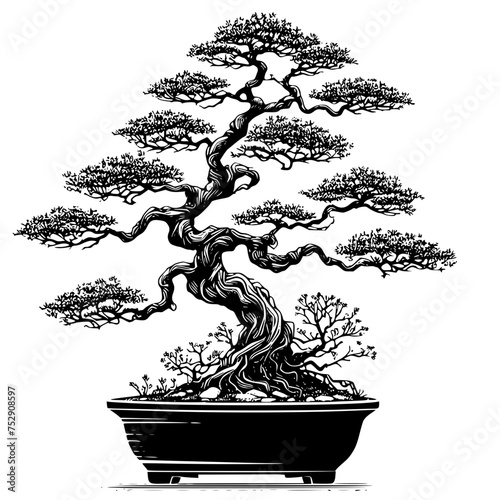 bonsai tree line art isolated on white