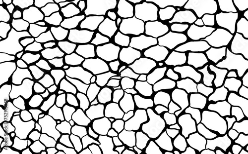 Giraffe skin wallpaper. Abstract animal texture. Hand drawn luxury illustration.