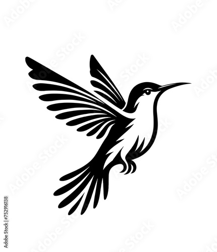 colibri or humming bird isolated vector illustration