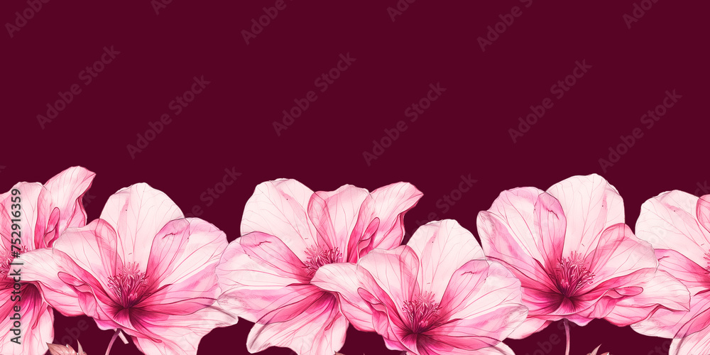 Border of pink flowers and leaves on a seamless background. Delicate, transparent petals. Border of pink flowers and leaves on a seamless background. Delicate, transparent petals.