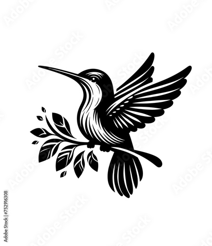 colibri or humming bird isolated vector illustration