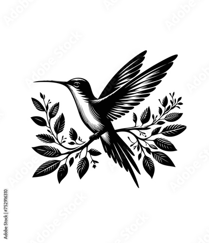 colibri or humming bird isolated vector illustration