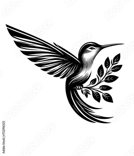 colibri or humming bird isolated vector illustration