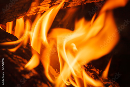 Logs burning in an outdoor campfire © David Davis