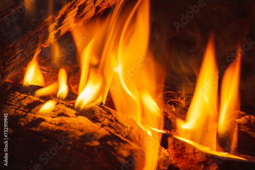 Logs burning in an outdoor campfire © David Davis