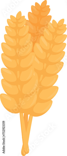 Grain wheat plant icon cartoon vector. Bread production material. Farm field product