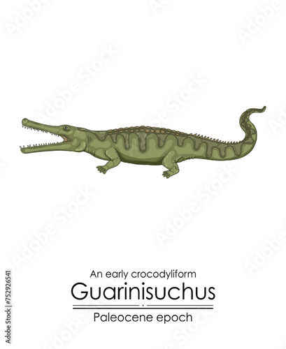 An early crocodyliform Guarinisuchus from Paleocene epoch.