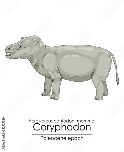One of the first mammals  the pantodont Coryphodon  was a creature from the Paleocene period