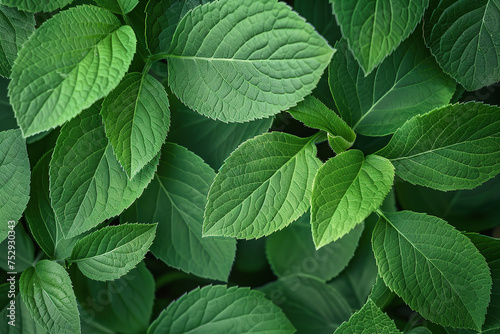 close up horizontal image of green leaves background Generative AI