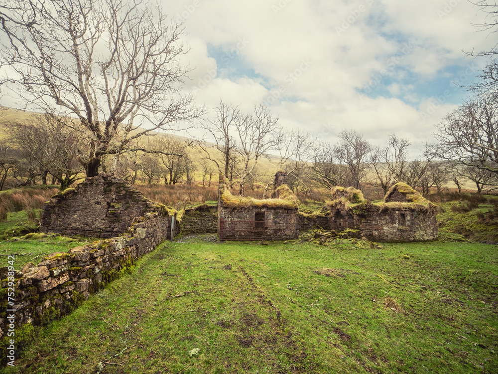 Picaresque old abandoned stone house in Irish country side, Mountains in the background. Small home and barn without roof and covered in green moss and old trees.