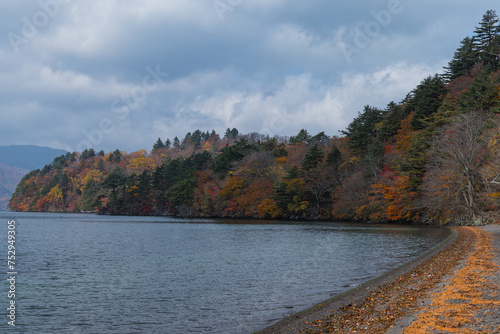 日本　青森県十和田市奥瀬十和田湖畔休屋の十和田湖と御前ヶ浜の紅葉