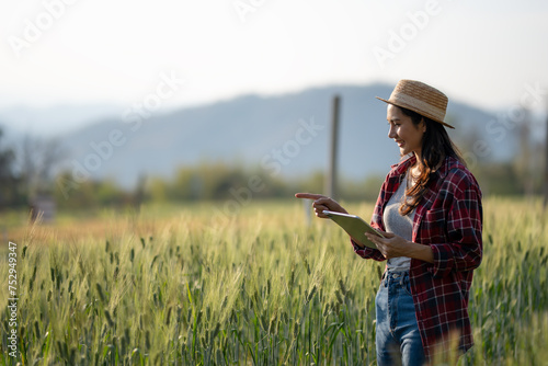 A young woman closely examines a wheat crop while holding a digital tablet in a sunny field. Record and track growth
