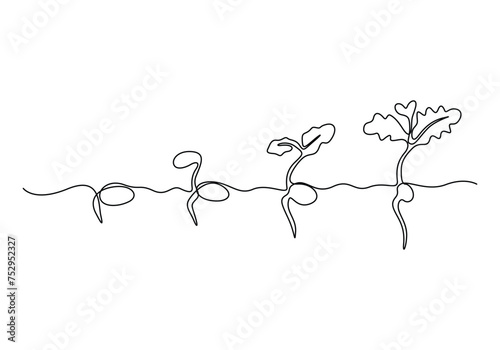 Continuous single line drawing of plant growth process. Vector illustration.