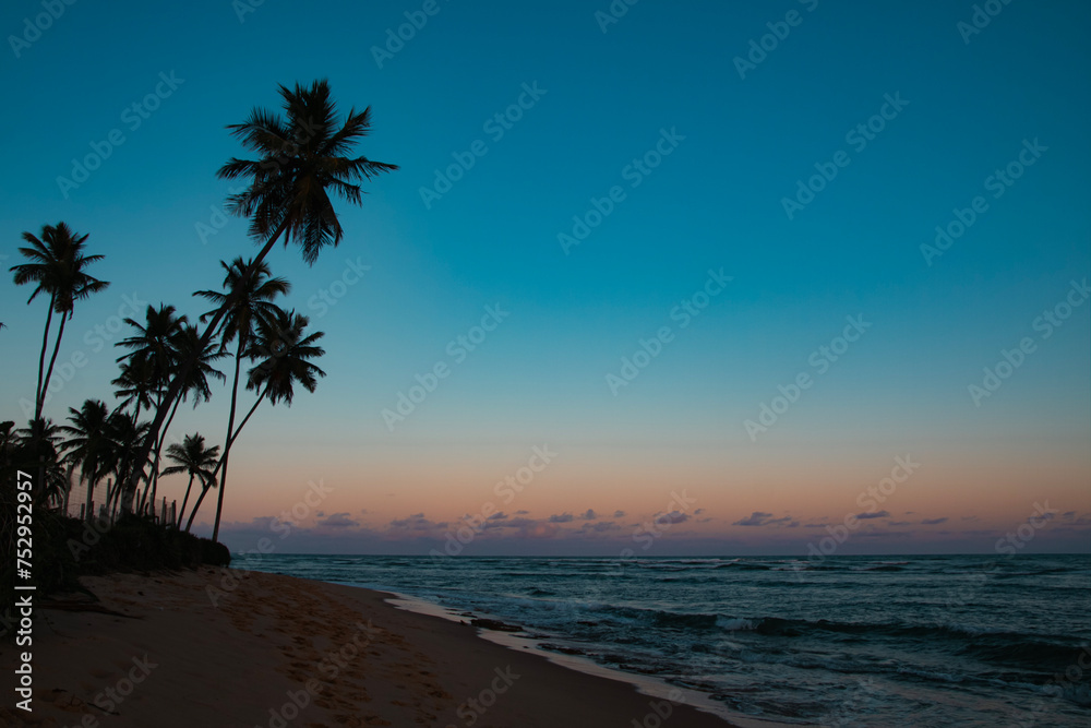 sunset on the beach with silhouette of coconut trees and gradient sky