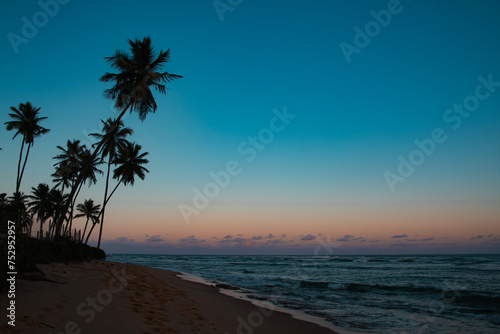 sunset on the beach with silhouette of coconut trees and gradient sky