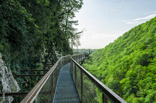 suspension metal bridge in canyon in Georgia