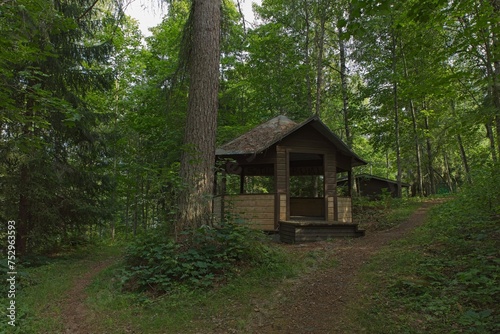 Old wooden abandoned gazebo in forest in summer.
