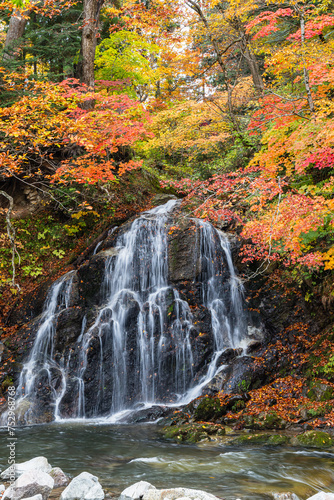 日本 青森県黒石市にある中野もみじ山の紅葉と不動の滝 © pespiero