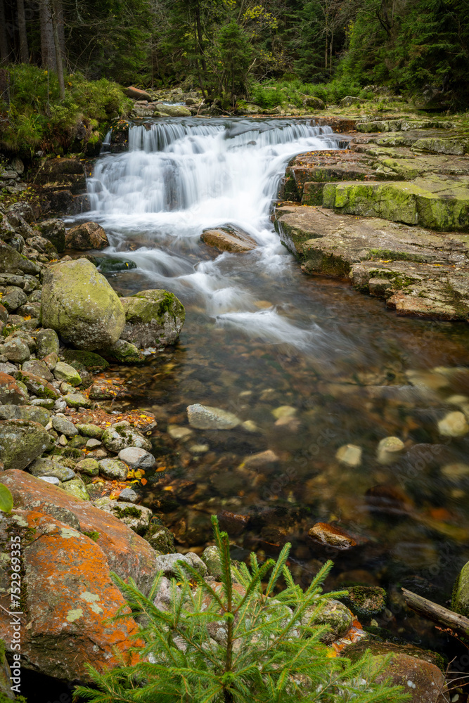Fototapeta premium Mountain stream with colorful autumn leaves flowing over rocks and rocks.