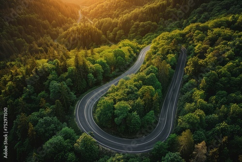 Mountain road winding through a forest at sunset