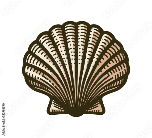 Scallop Shell hand drawn vector illustration