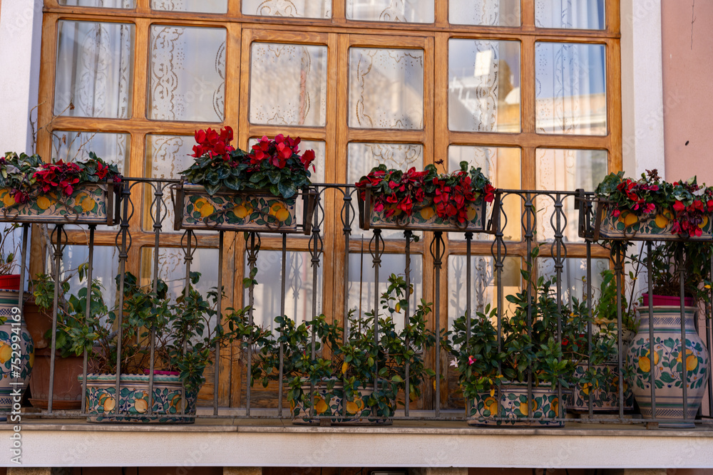 A balcony with a variety of potted plants and flowers