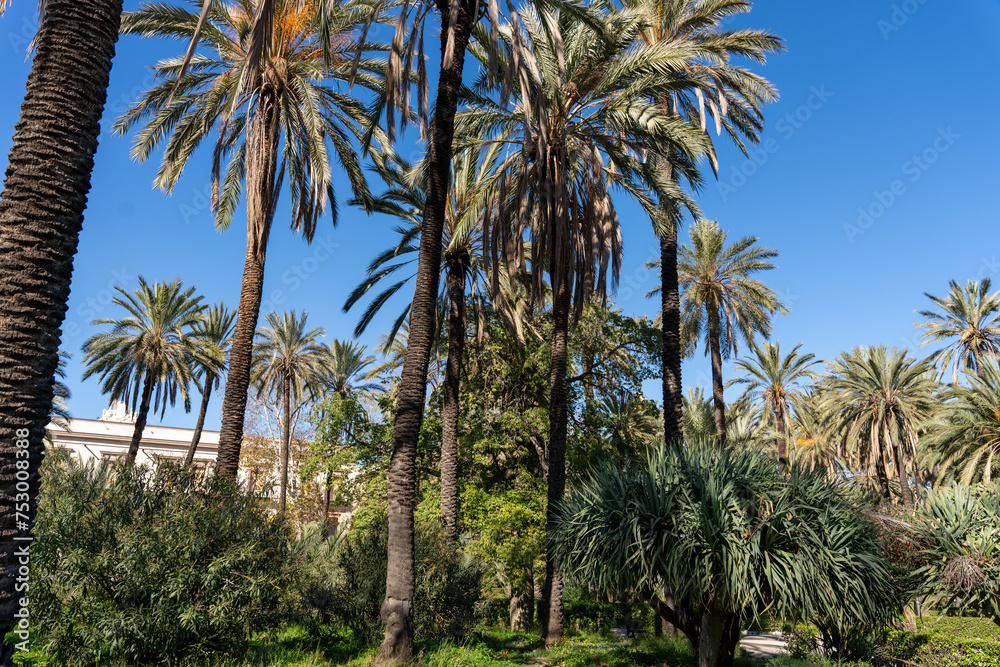 A lush green forest with palm trees and a building in the background