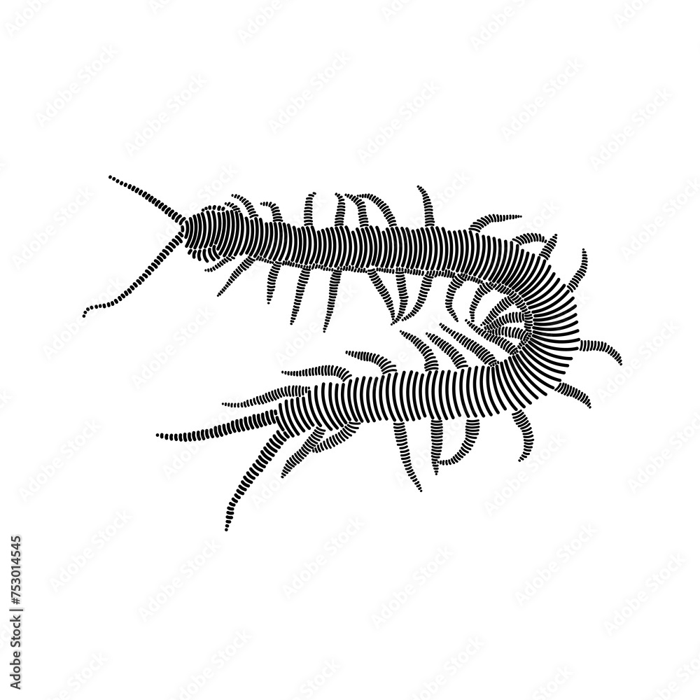 Simple line art illustration of a centipede 3 Simple line art illustration of a centipede 3