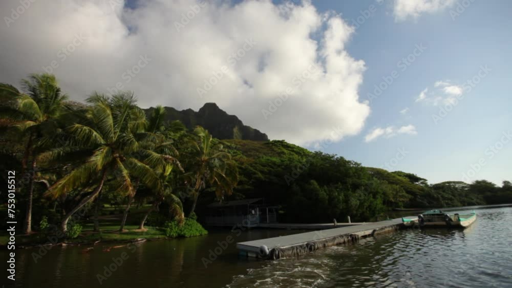 Hawaiian dock and boat - steady cam movement backwards Hawaiian dock and boat - steady cam movement backwards
