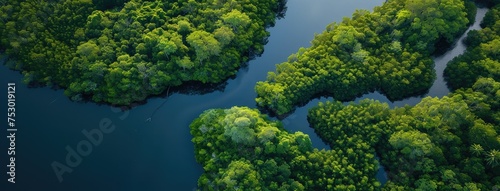 Aerial View of Serene Green Wetlands and River