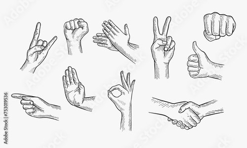 Hand drawn Set of different gestures hand, signs and signals. Handshake, ok, stop, pointing, victory, applause, fist, rock roll gesture. Outline vector illustration on white background. © Lucky Creative's