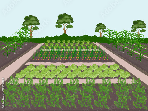 Area format of agricultural plots