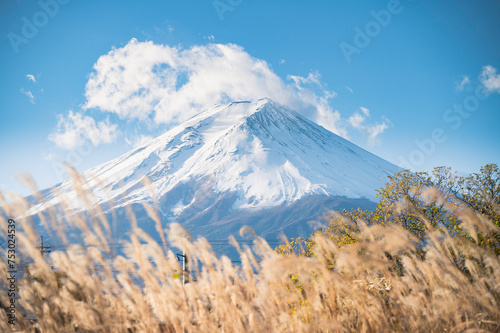 Mountain fuji from lake kawaguchi side with slivergrass at the front photo